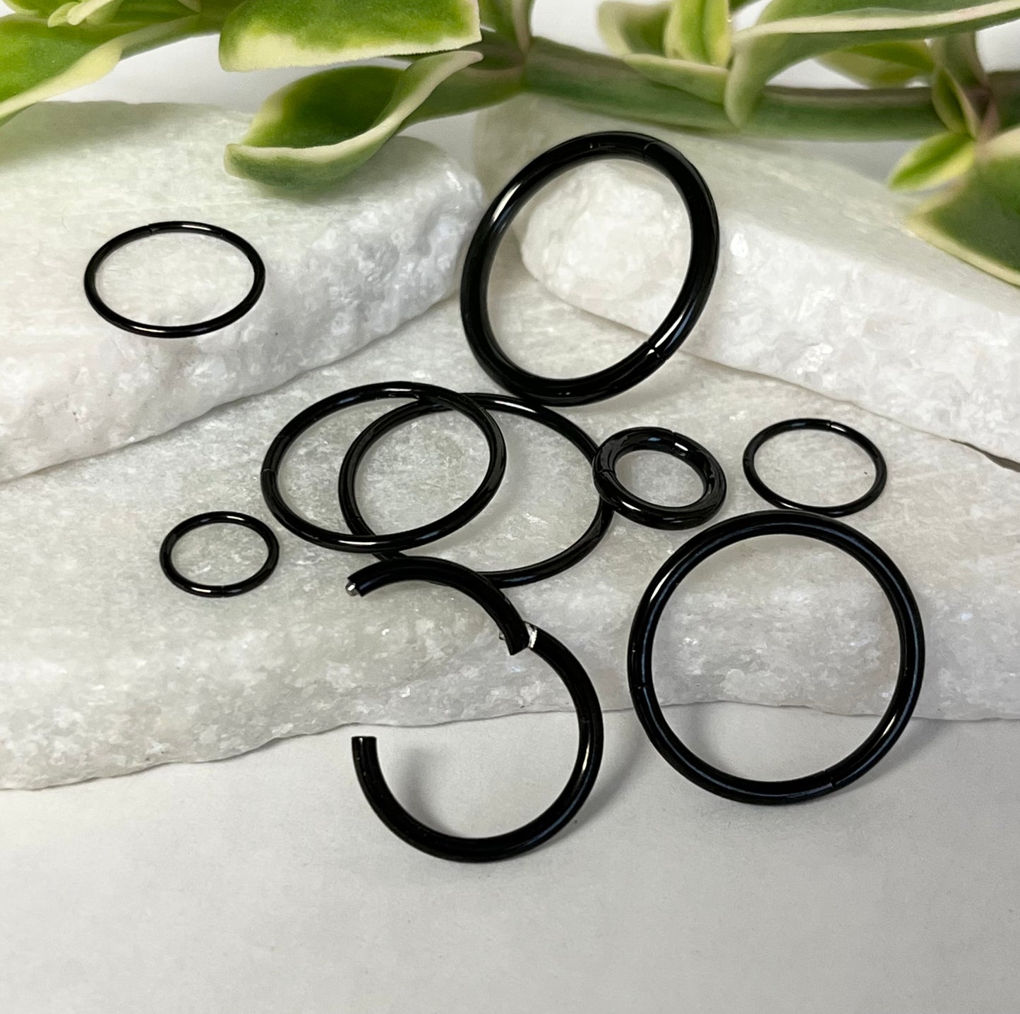 10pk Black PVD Hinged Segment Ring Hoops Clicker Wholesale Helix Daith Cartilage