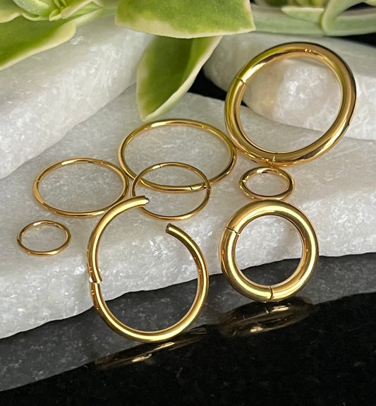 10pk Gold PVD Hinged Segment Ring Hoops Clicker Wholesale Helix Daith Cartilage