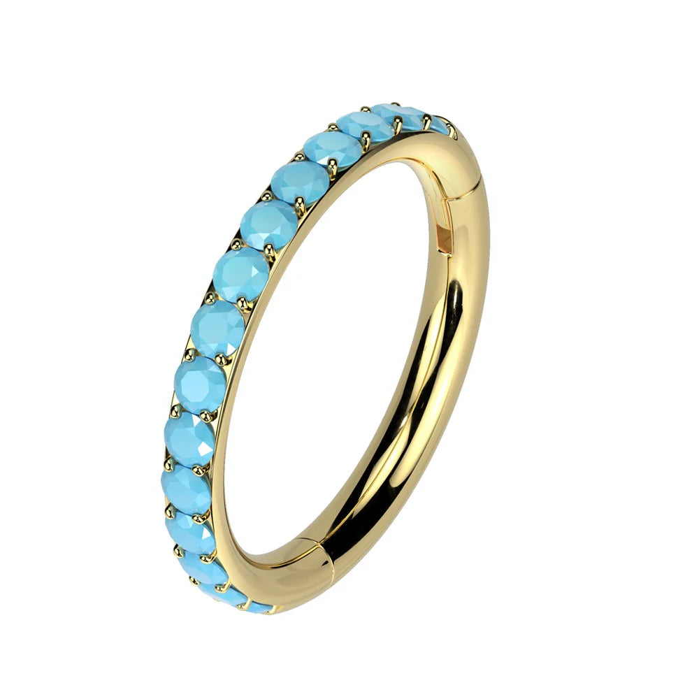 1pc Titanium Hinged Segment Ring Outer Turquoise Septum Hoop Helix Daith Jewelry