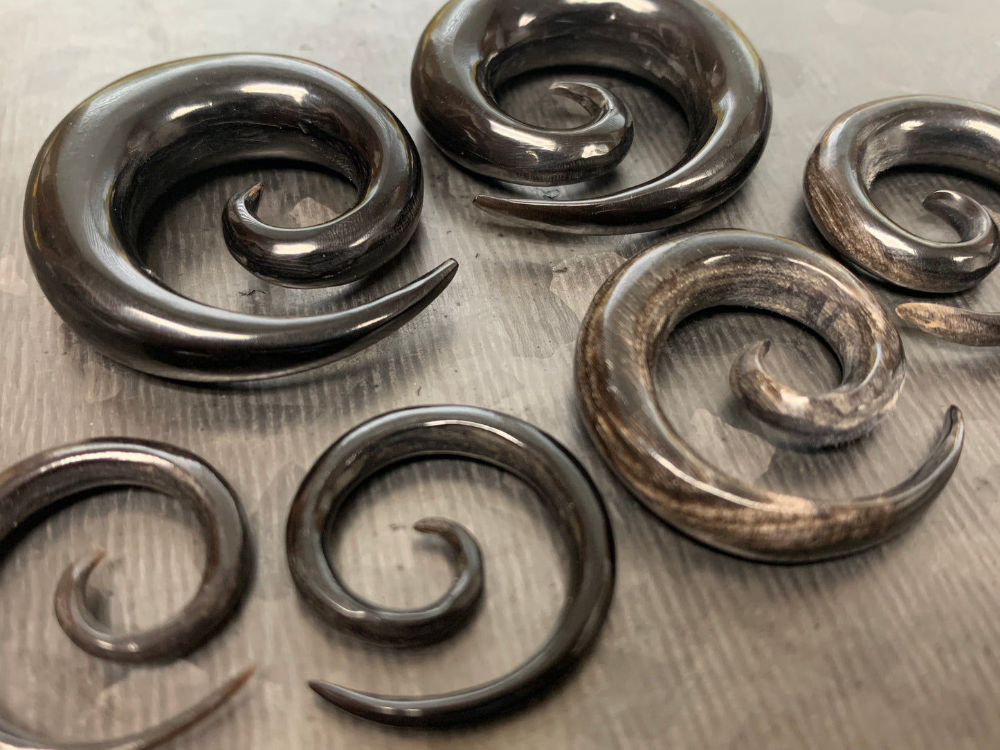 PAIR Organic Horn Spiral Tapers Plugs Tunnels Gauges Body Jewelry