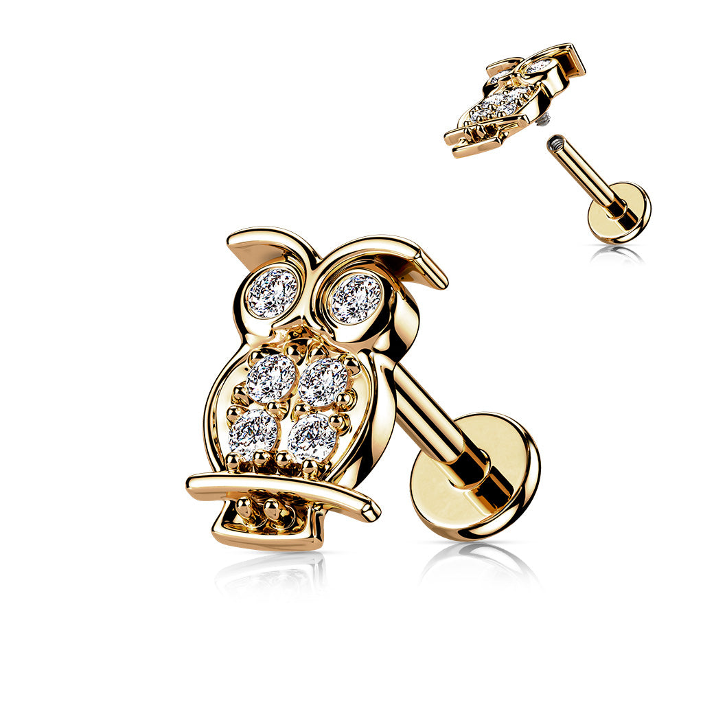 1pc CZ Paved Owl 16g Labret Internally Threaded Steel Monroe Tragus Helix