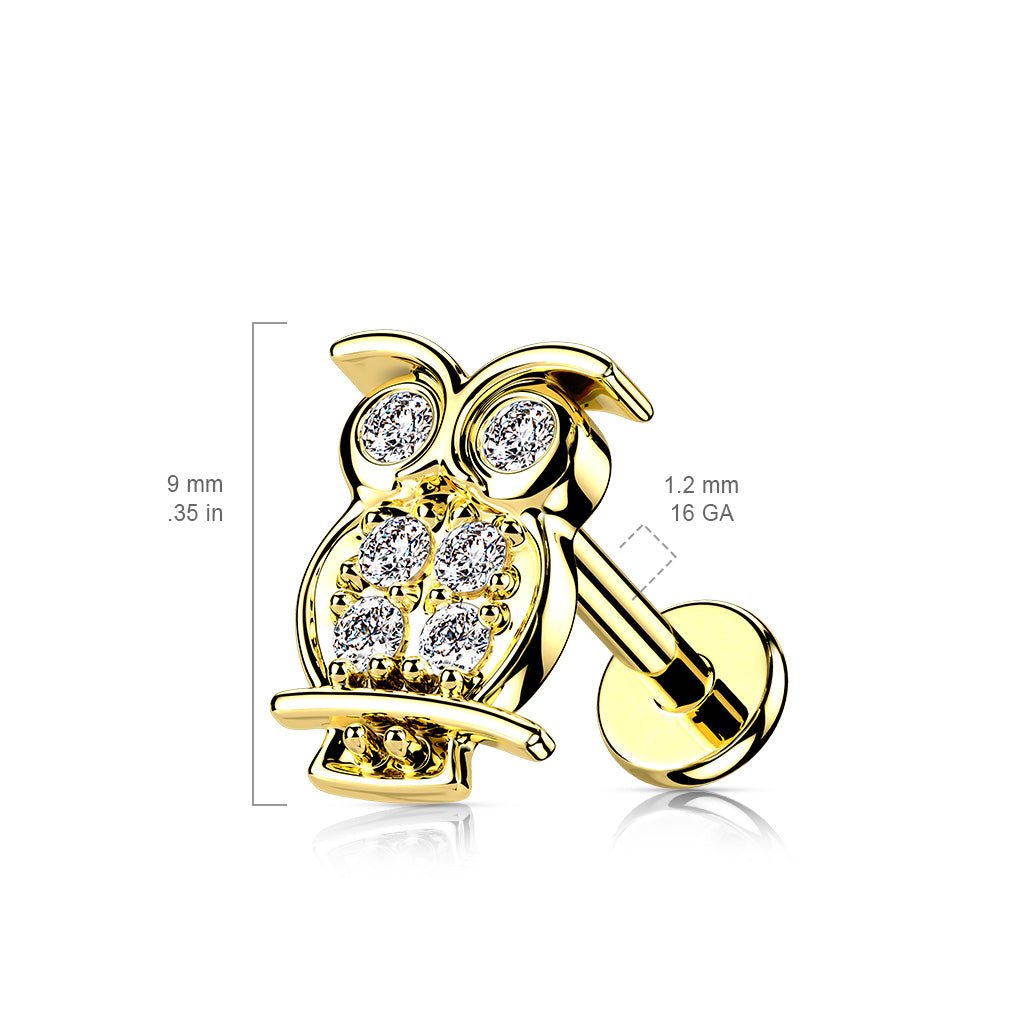 1pc CZ Paved Owl 16g Labret Internally Threaded Steel Monroe Tragus Helix