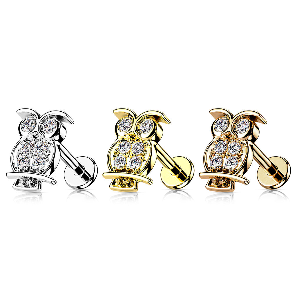 1pc CZ Paved Owl 16g Labret Internally Threaded Steel Monroe Tragus Helix