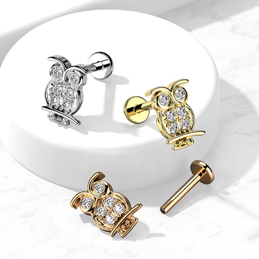 1pc CZ Paved Owl 16g Labret Internally Threaded Steel Monroe Tragus Helix