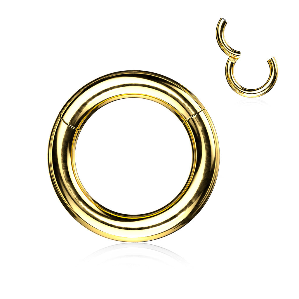 1pc Large Gauge Hinged Segment Ring Easy & Secure Clicker 316L Surgical Steel