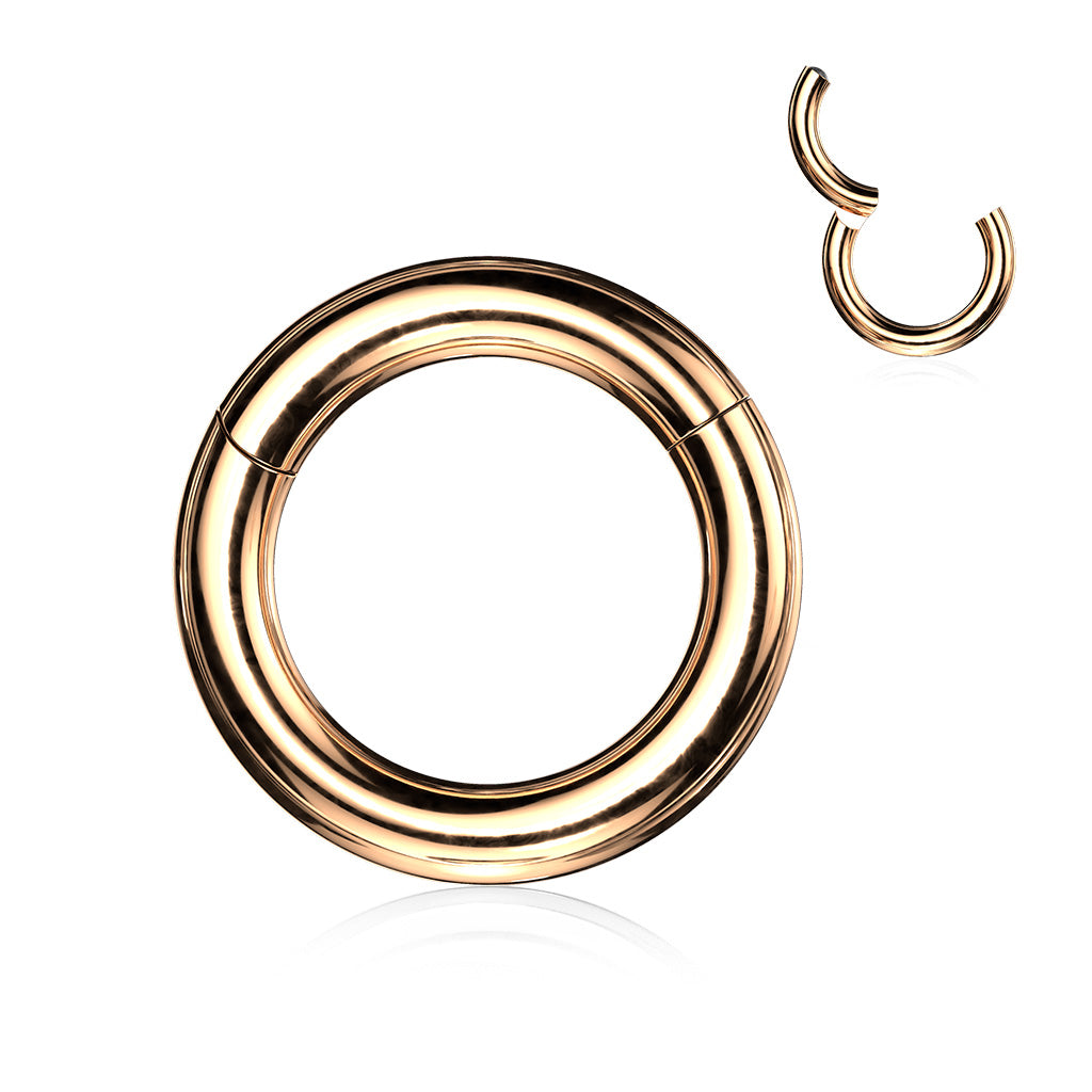 1pc Large Gauge Hinged Segment Ring Easy & Secure Clicker 316L Surgical Steel