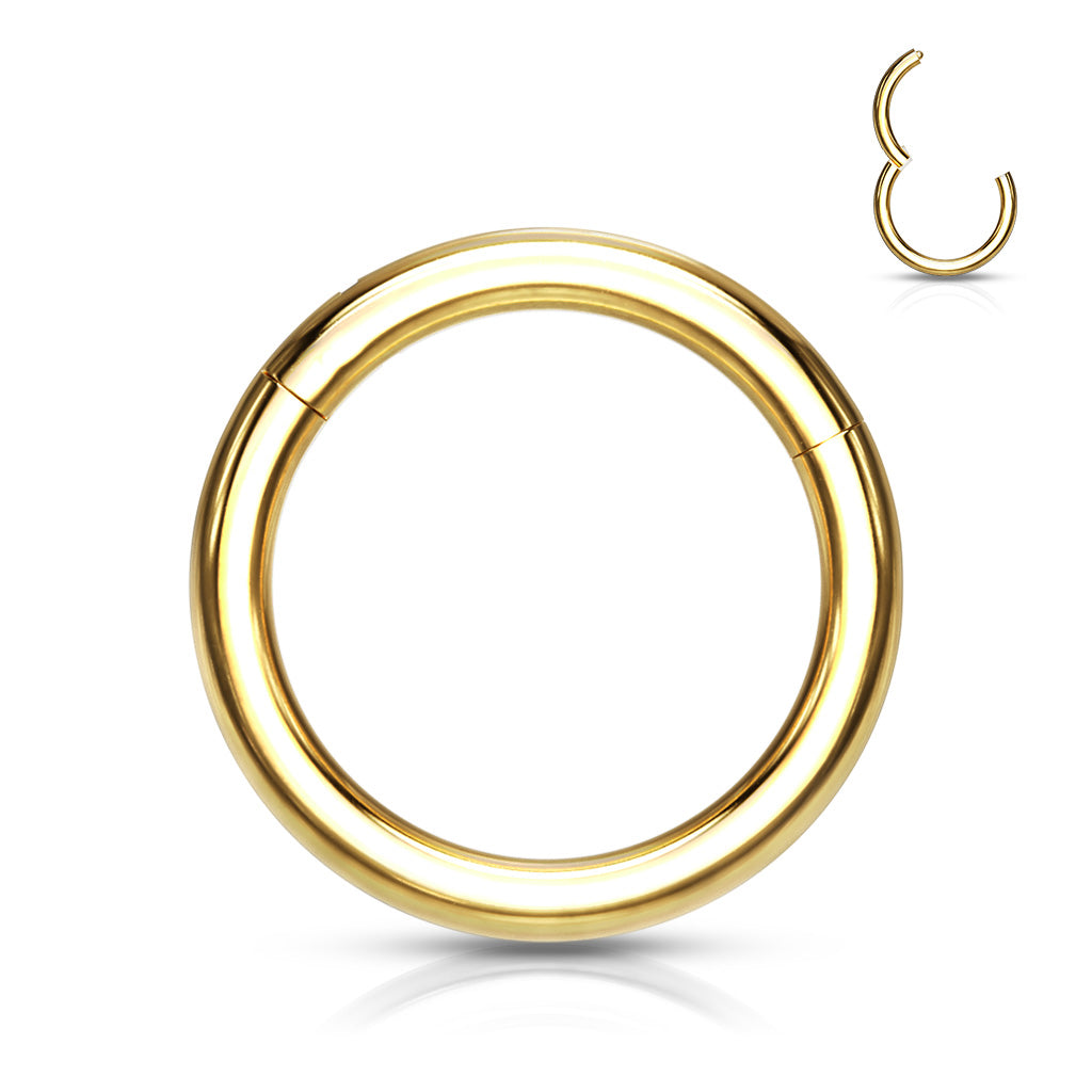 1pc Hinged Segment Ring Septum Clicker Helix PVD over Implant Grade Titanium