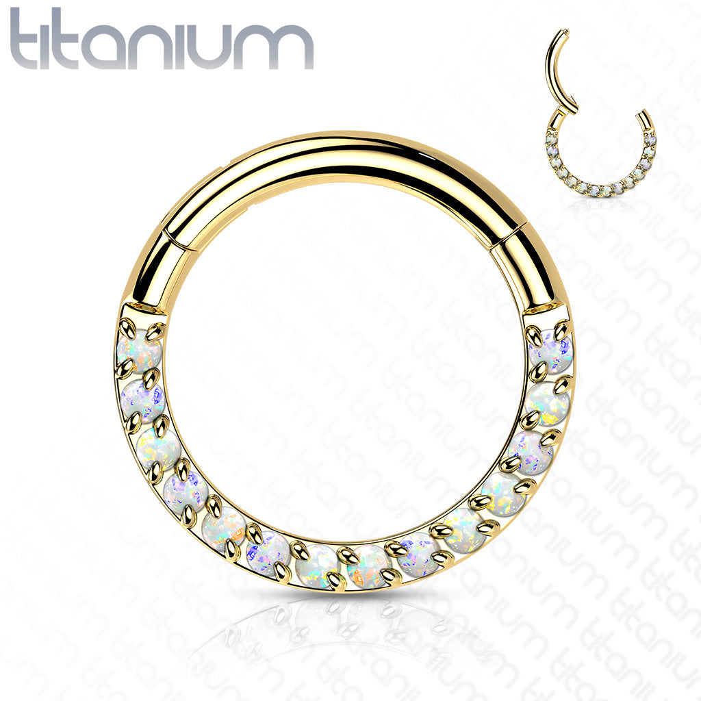 1pc Implant Grade Titanium Opal Paved Front Hinged Segment Ring Septum Clicker