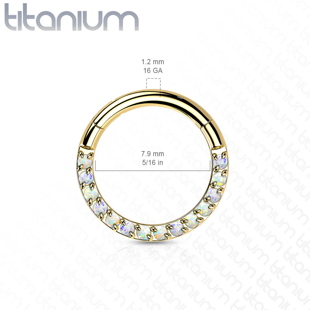 1pc Implant Grade Titanium Opal Paved Front Hinged Segment Ring Septum Clicker