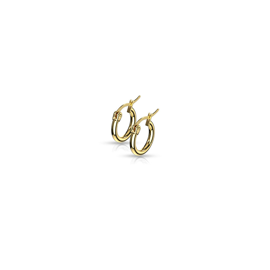 PAIR of Round Hoop Earrings 22g Gold Ion Plated Stainless Steel