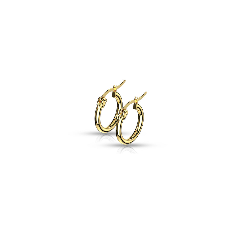 PAIR of Round Hoop Earrings 22g Gold Ion Plated Stainless Steel