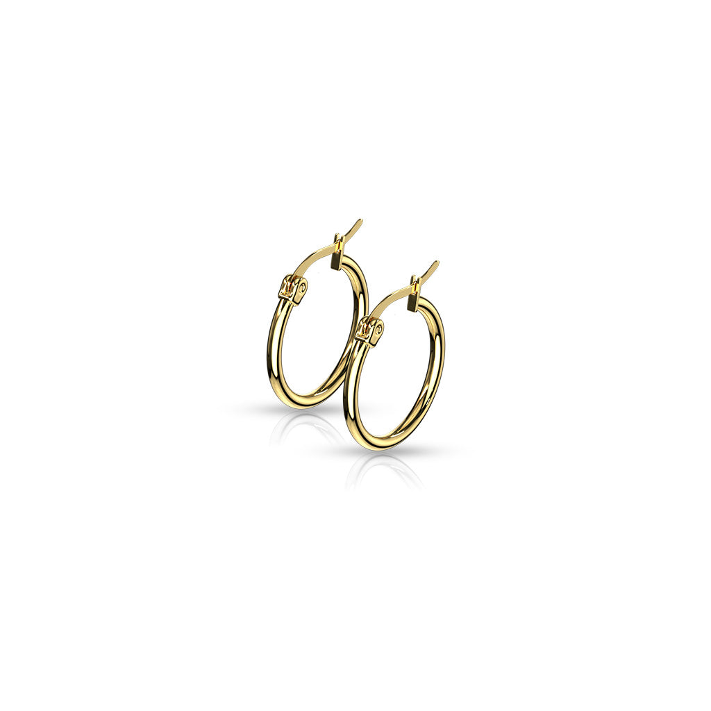 PAIR of Round Hoop Earrings 22g Gold Ion Plated Stainless Steel