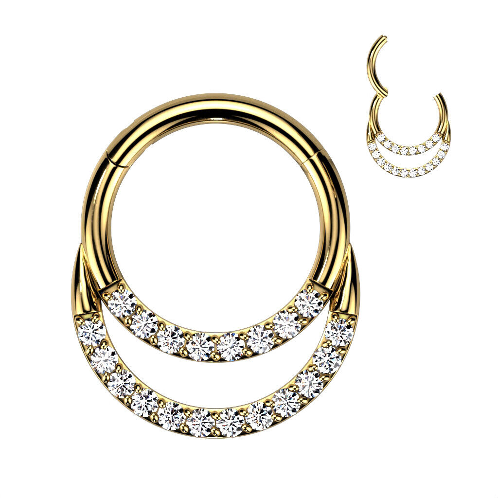 1pc Titanium Hinged Segment Ring Double Lined CZ Gems Septum Hoop Helix Daith
