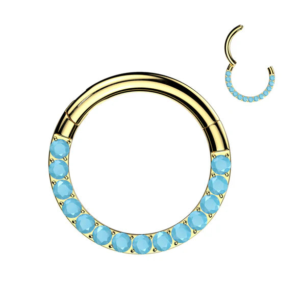 1pc Titanium Hinged Segment Ring Front Turquoise Septum Hoop Helix Daith Jewelry