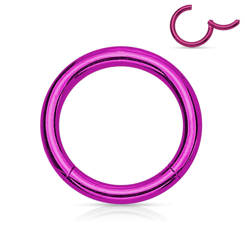 1pc Hinged Segment Ring Septum Clicker - Purple