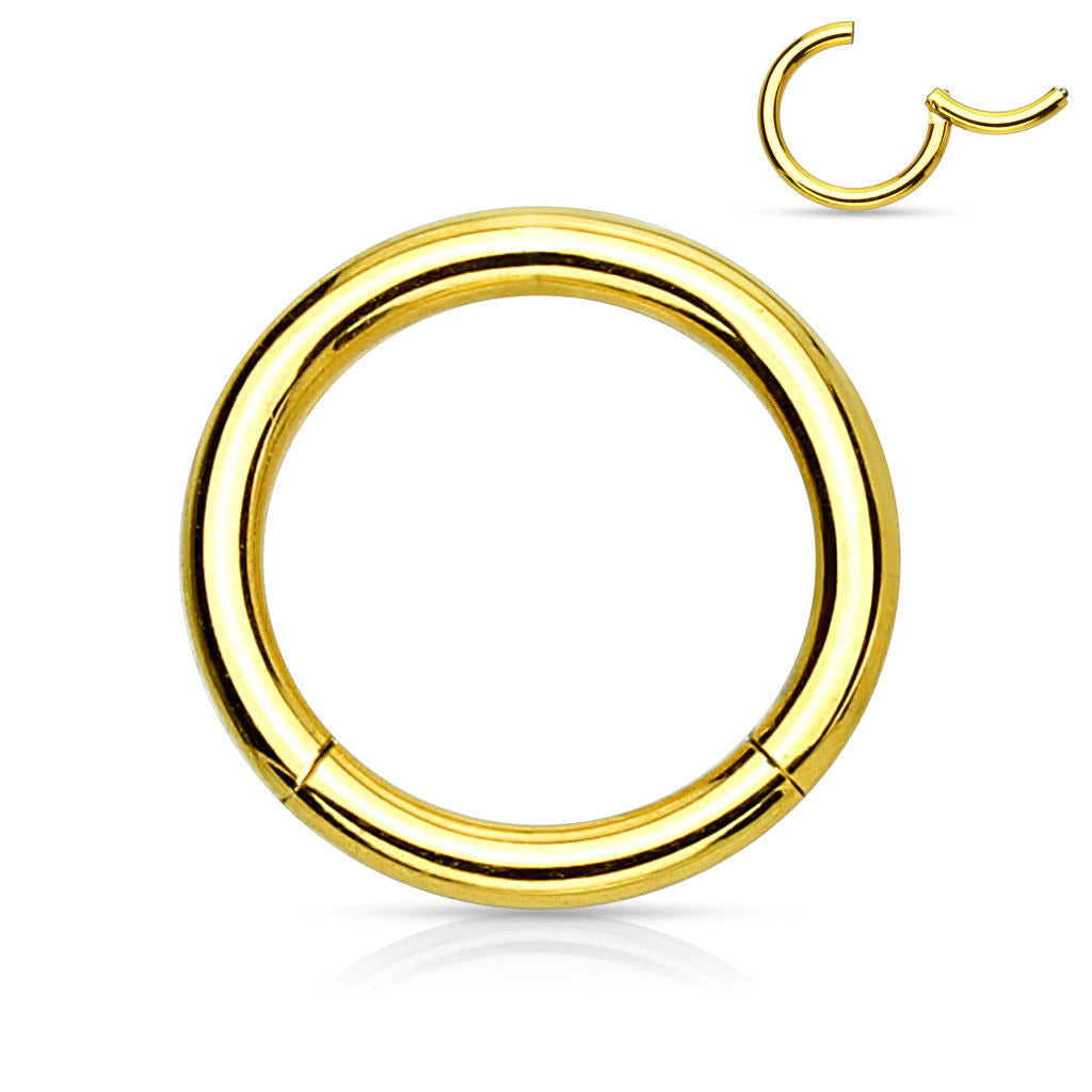 1pc Hinged Segment Ring Septum Clicker - Gold